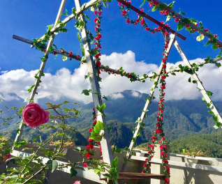 Art House Sapa