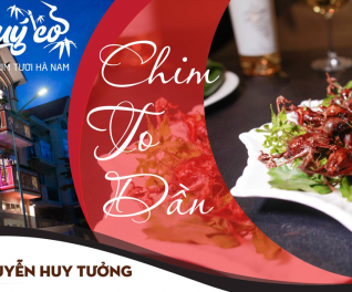 Quý Cò - Chim To Dần