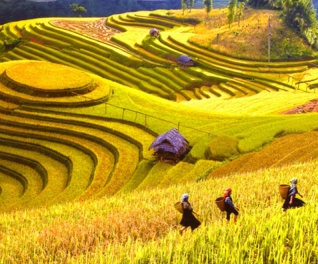 Sapa Express