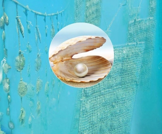 Thành Duy Phú Quốc