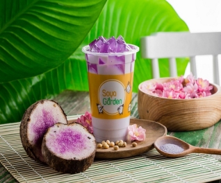 Soya Garden