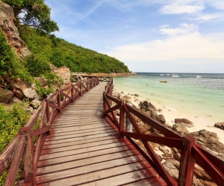 Nắng Xanh Travel