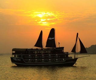 Du thuyền Paloma