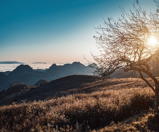 Du lịch Việt Hưng