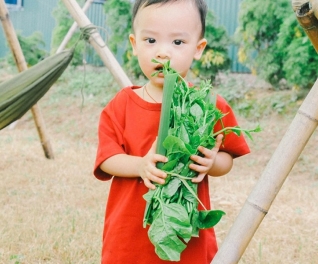 Nông trại vui vẻ 4.0