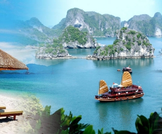 Lạc Việt Travel