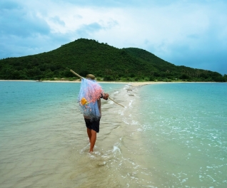 Hiếu Quân Tourist