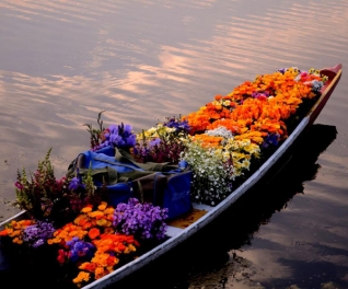 Sao Việt Tourist