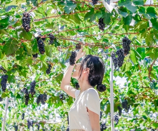 DU LỊCH GIÁ RẺ NHA TRANG