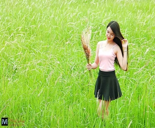 Song Ngọc Studio
