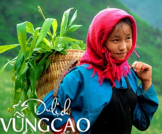 Du lịch Vùng Cao
