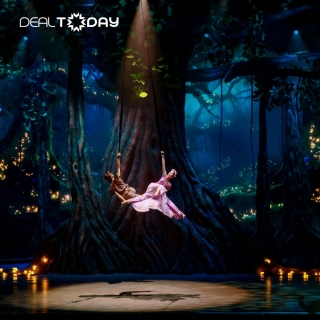 Tiên Sa Show - Vũ Nhạc Kịch Đương Đại - Hạng Fairy dành cho Người Lớn