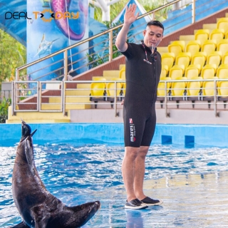 Danang Dophilnarium - Show Cá Heo và Hải Cẩu - Vũ Điệu Đại Dương