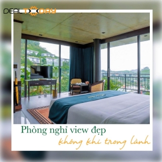 Mộc Châu - Vigolando Mộc Châu - Nghỉ dưỡng phòng Family Suite