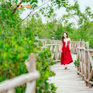 Khu du lịch quốc tế Đồi Rồng - Vé vào cổng rừng ngập mặn - Người lớn