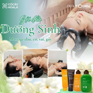 Cỏ Cây Hoa Lá - Gội đầu dưỡng sinh, massage đầu, cổ, vai, gáy, chăm sóc da và massage mặt 50 phút