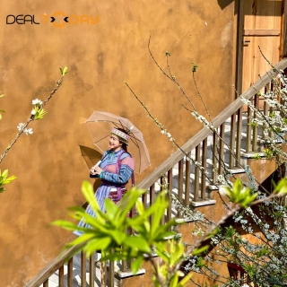 Sapa - Sin Chai Ecolodge Sapa 4 sao - Phòng Dorm tại nhà sàn