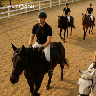 Vietgangz Horse Club Hanoi - Khóa học cưỡi ngựa chuyên nghiệp