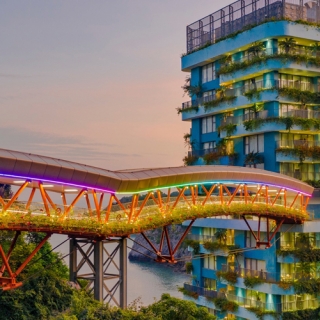 Nghỉ dưỡng phòng Deluxe Mountain View khu hotel Lan Hạ Flamingo Cát Bà Resort