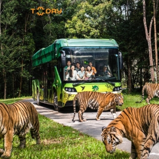 Combo VinWonders và Safari Phú Quốc - Vé vào cửa 1 ngày và Set menu 400k tại Safari - Người lớn