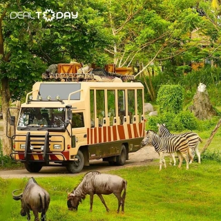 Combo VinWonders và Safari Phú Quốc - Vé vào cửa 2 ngày và Set menu 125k tại Safari - Trẻ em