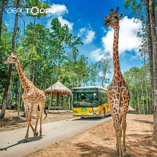 Combo VinWonders và Safari Phú Quốc - Vé vào cửa 2 ngày và Set menu 400k tại Safari - Người lớn