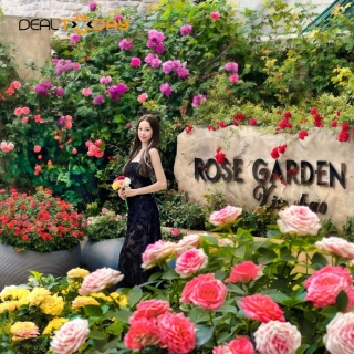 Sunworld Bà Nà Hills - Vé Buffet trưa Người lớn