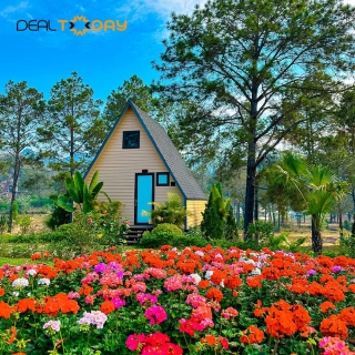 Mộc Châu - Phoenix Mộc Châu 4 sao - Phòng Bugalow Superior và vé tham quan Rừng thông Bản Áng