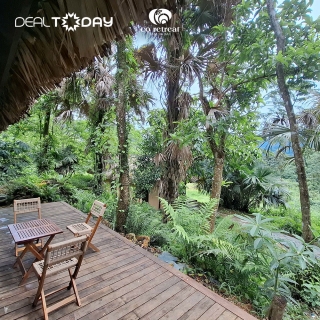 Hòa Bình - Cọ Retreat Đà Bắc - Phòng Bungalow