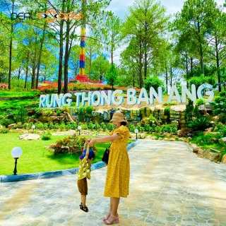 Mộc Châu - Phoenix Mộc Châu 4 sao - Phòng Superior và vé tham quan Rừng thông Bản Áng