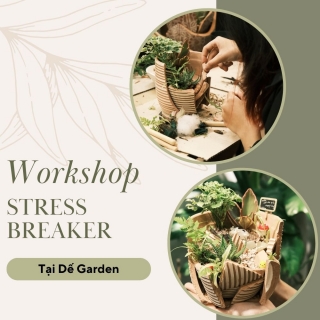 Trải nghiệm workshop Stress Breaker tại Dế Garden