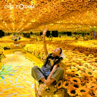 Triển lãm Metashow - Vé Special - L Ticket thứ 7, chủ nhật và Lễ Tết