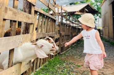 Top 5 nông trại giáo dục không thể bỏ lỡ ở Hà Nội dịp Tết Thiếu nhi