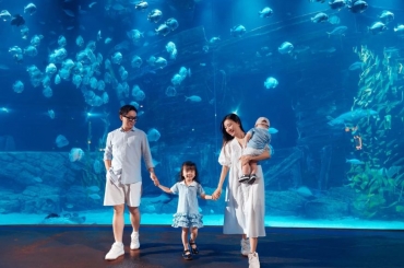 Thủy cung TimeCity - Thế giới đại dương kỳ thú giữa lòng phố