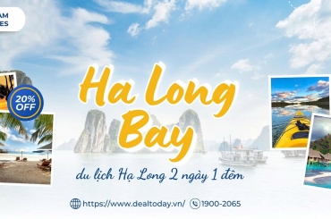 Check-in Hạ Long 2 Ngày 1 Đêm Nên Đặt Phòng Trước Ở Đâu?