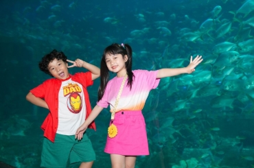 Gợi ý địa điểm du lịch cho gia đình có trẻ nhỏ