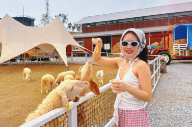 Trọn gói giải trí: Xem show cực đỉnh - Check-in cực chill tại Quảng Ninh