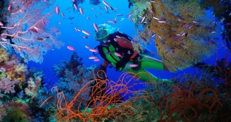 Khám phá Phú Quốc - Lặn ngắm san hô Nam Đảo 3N3Đ