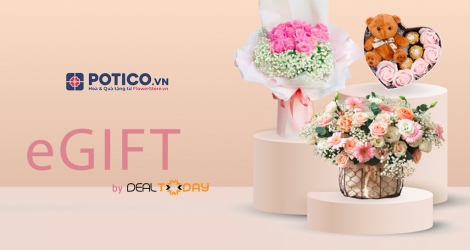 Potico.vn 1.000.000đ