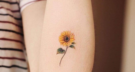 Đào tạo nghề tattoo mini đang trở thành xu hướng tại Việt Nam, với nhiều người trẻ đam mê và muốn theo đuổi nghề xăm hình. Hãy liên hệ với trung tâm đào tạo uy tín để trở thành một chuyên gia trong lĩnh vực này. Click vào hình ảnh để biết thêm chi tiết!