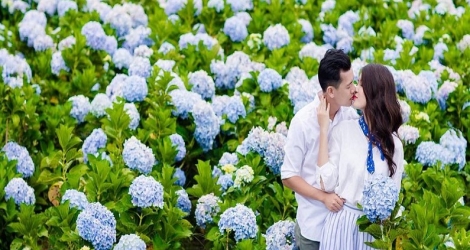 Tour Đà Lạt 2N2Đ - Linh Quy Pháp Ấn - vườn hoa cẩm tú cầu - Mê Linh coffee garden - đồi chè cầu đất