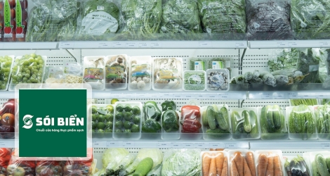 Hệ thống Sói Biển 500.000đ