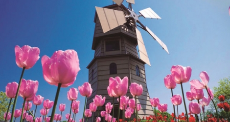 Châu Âu: Pháp - Bỉ - Hà Lan - Lễ hội hoa Tulip 7N6Đ