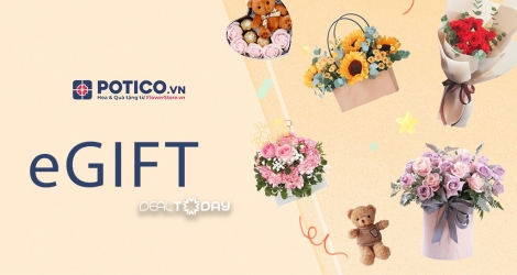 Potico.vn 300.000đ