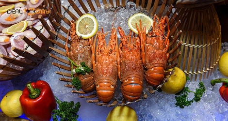 Buffet tôm hùm, bào ngư & hải sản cao cấp - Miễn phí nước ngọt, nước trái cây tại Windsor Plaza 5 sao