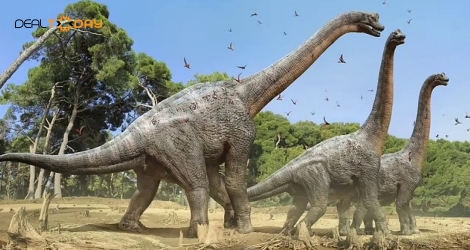 Vé người lớn thám hiểm khu vui chơi đảo khủng long Dino Island tại Aeon Mall Tân Phú Celadon
