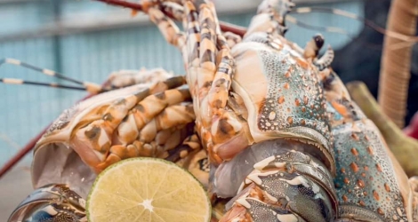 Buffet hải sản và 01 con tôm hùm tại Ambassador Club Nha Trang