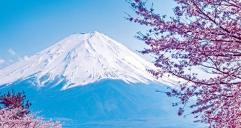 Du lịch Nhật Bản 6N5Đ Nagoya - Osaka - Nara - Kyoto - Núi Phú Sĩ - Tokyo