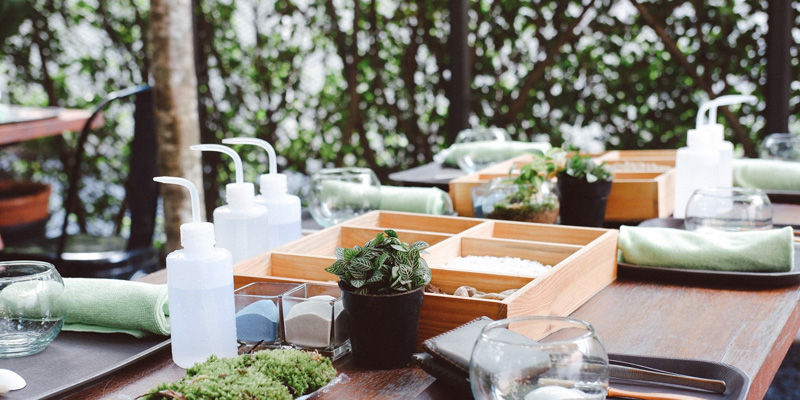 Workshop Terrarium 101 trồng cây tiểu cảnh tại 9X GARDEN