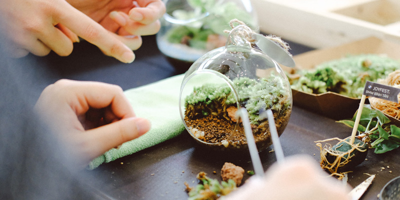 Workshop Terrarium 101 trồng cây tiểu cảnh tại 9X GARDEN